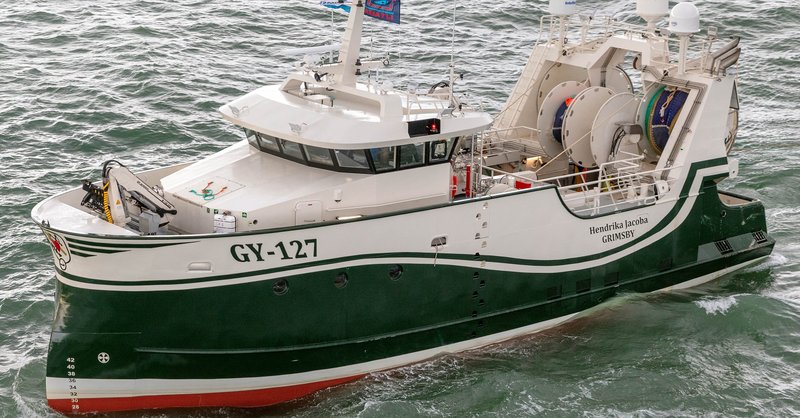 lizaro large.jpg